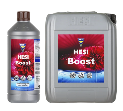Hesi