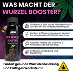420flow Der Wurzelbooster – Starker Start für maximale Entwicklung