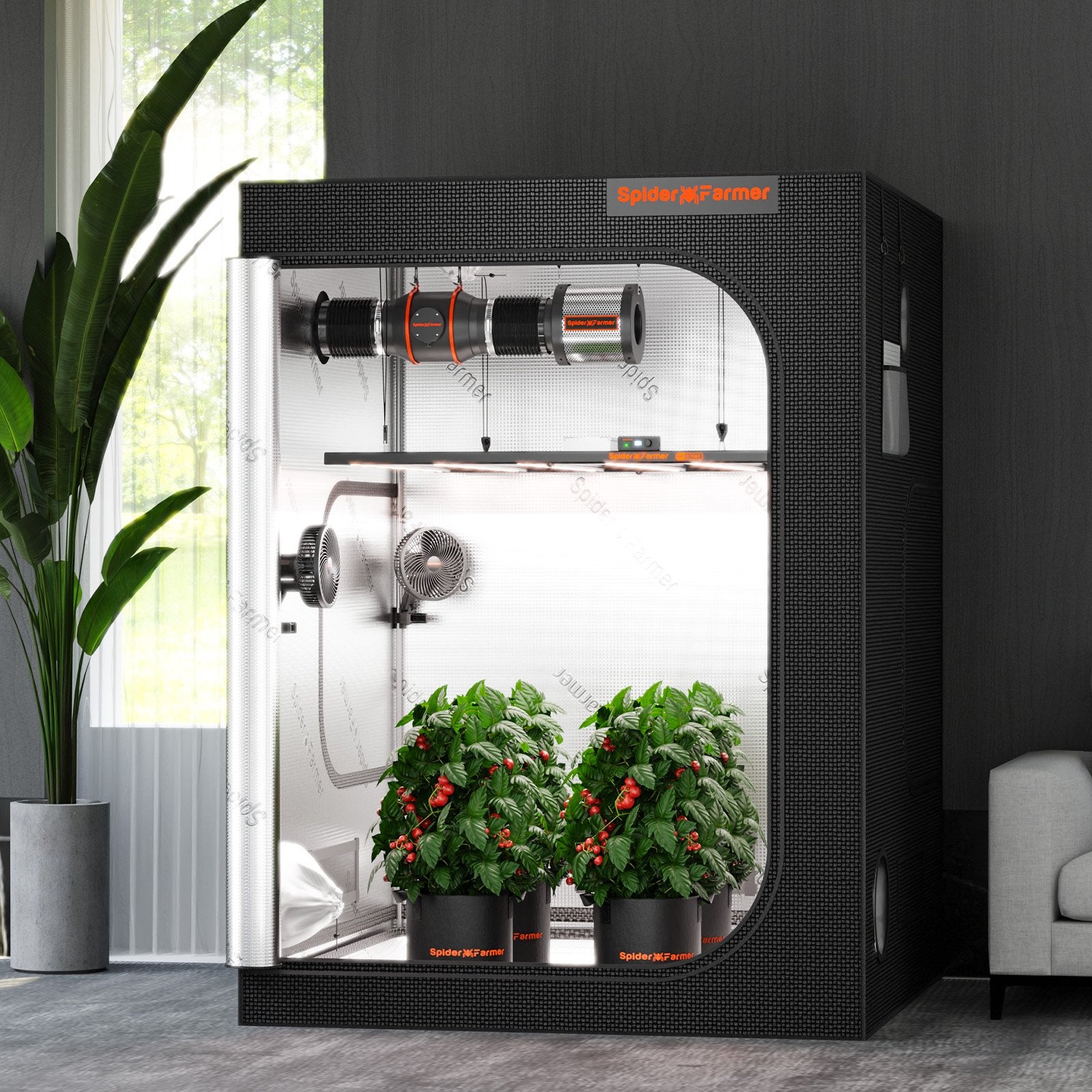 Spider Farmer 150x150x200cm Growbox