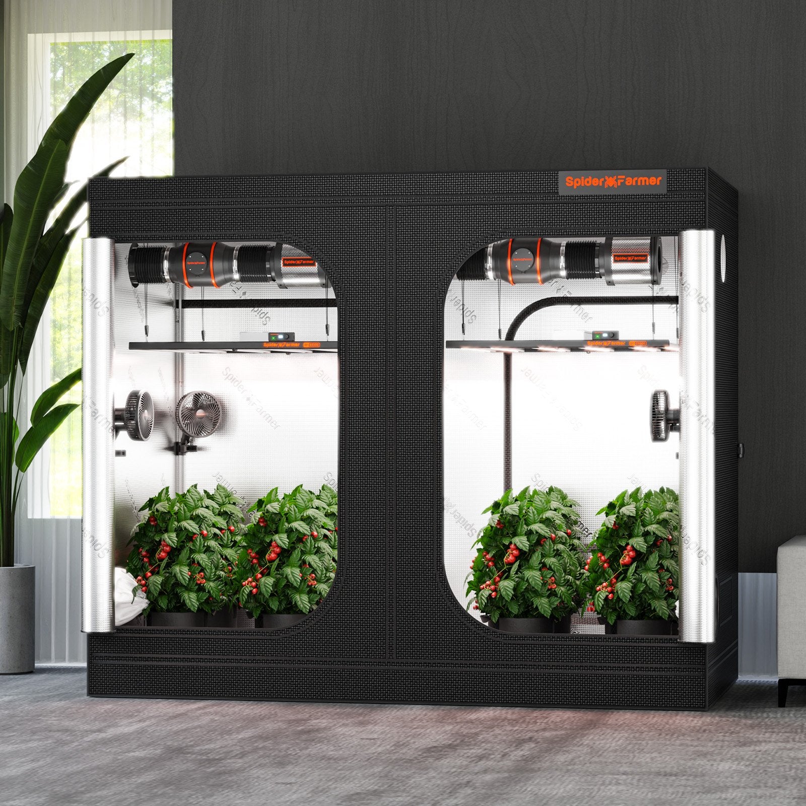 Spider Farmer 240x120x200cm Growbox