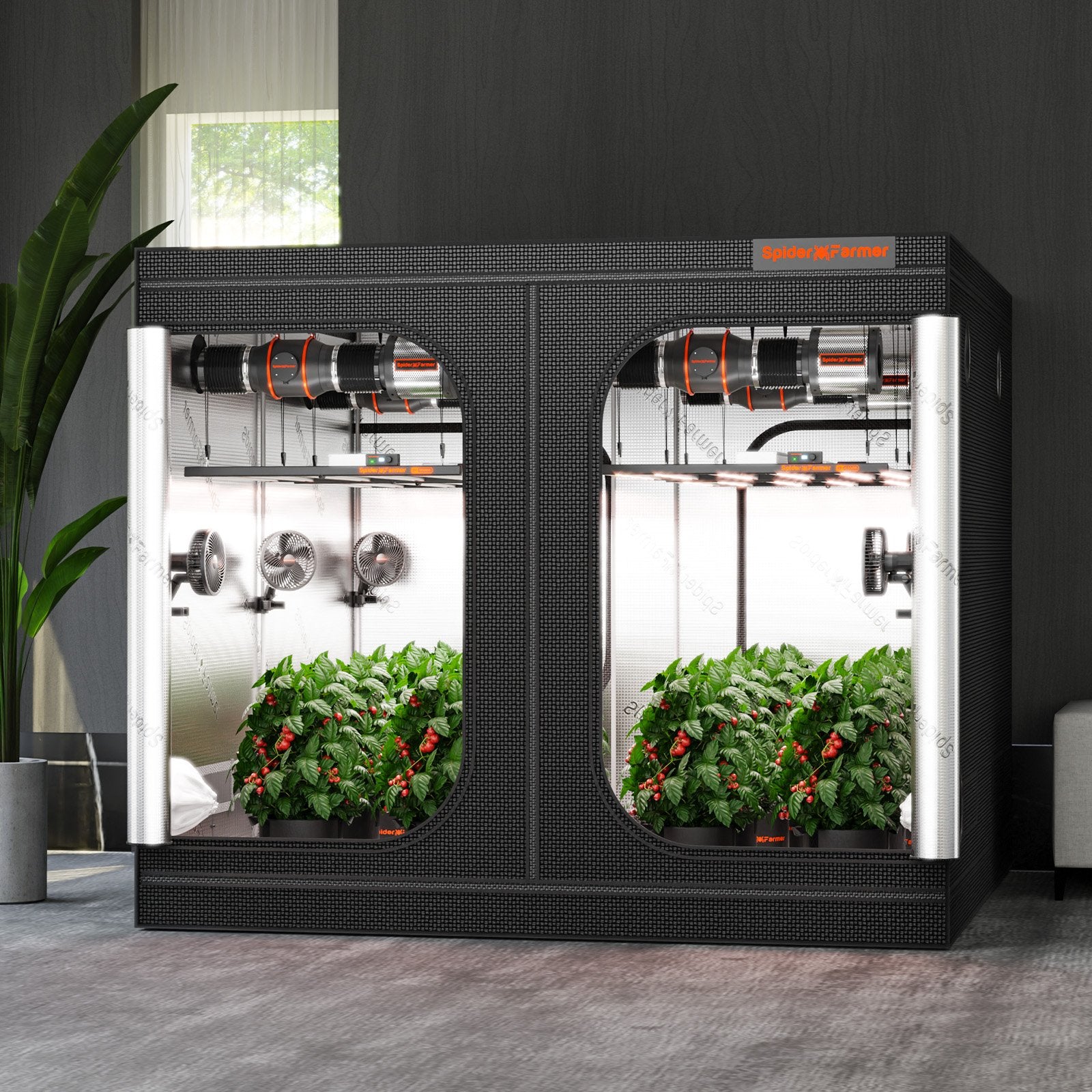 Spider Farmer 240x240x200cm Growbox