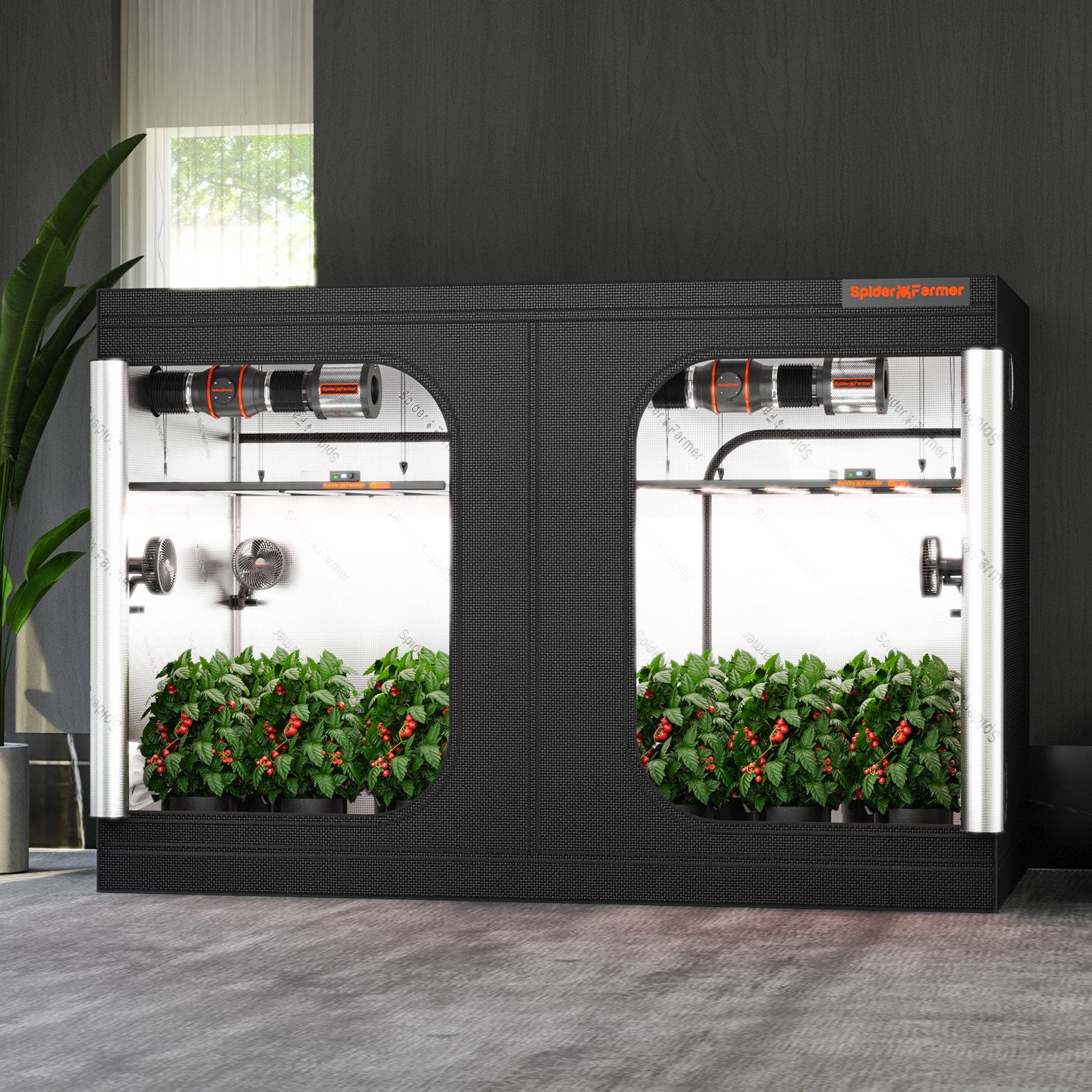 Spider Farmer 300x150x200cm Growbox