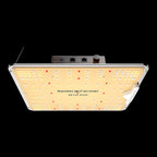Spider Farmer SF1000 – 100W LED mit Samsung LM301H EVO