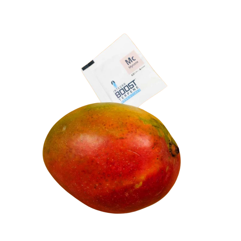 Integra Boost Terpene Pack 62% 4g