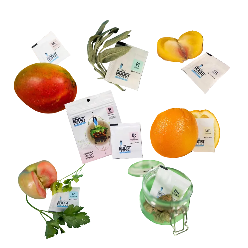 Integra Boost Terpene Pack 62% 4g