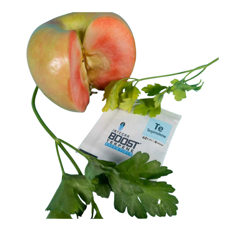 Integra Boost Terpene Pack 62% 4g