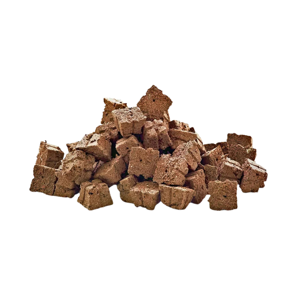 Eazy Plug Stecklingsblöcke – (3,5 × 3,5 cm)