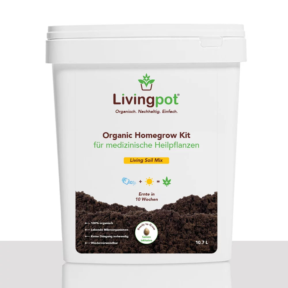 All-In-One Starterbox LivingPot (80x80 cm)