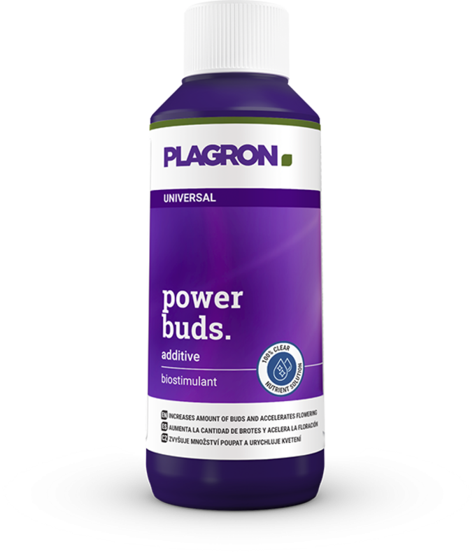 Plagron Power Buds – Blütenstimulator für den Übergang zur Blüte