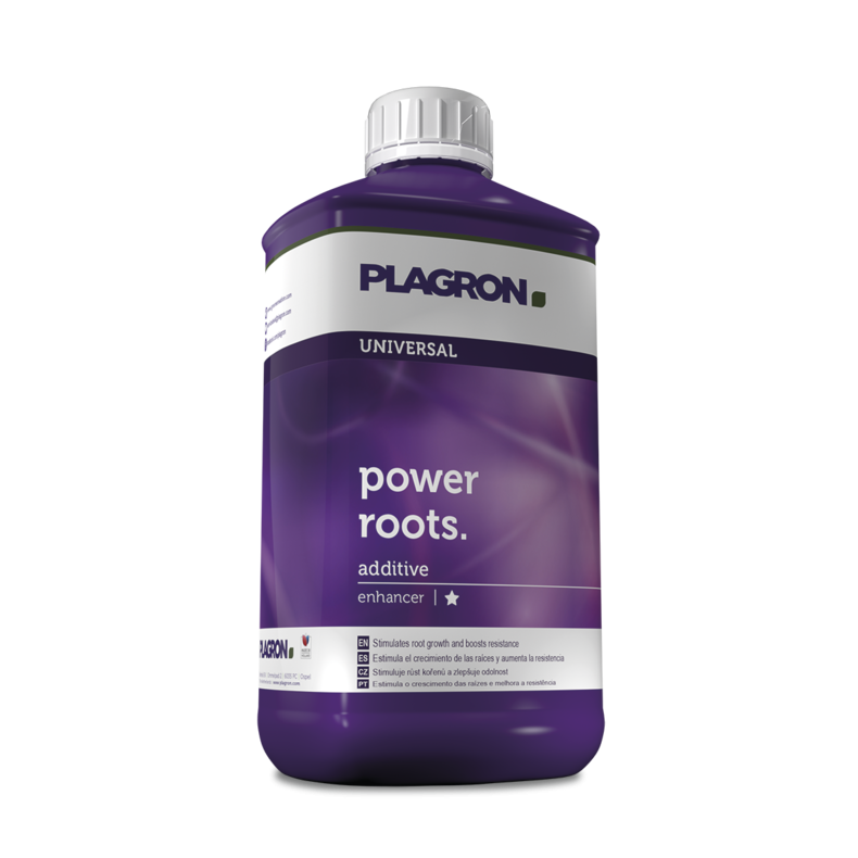 Plagron Power Roots – Wurzelstimulator für schnelle Etablierung (NPK 0-0-2)